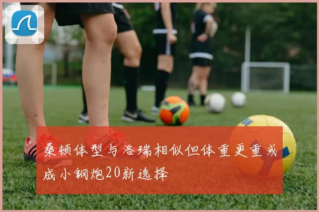 桑顿体型与洛瑞相似但体重更重或成小钢炮20新选择